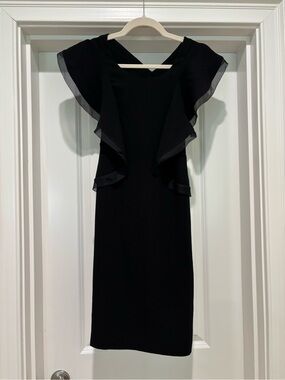 Club Monaco dress (Size 2)